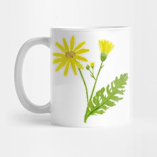 Ragwort / Cushag Mug